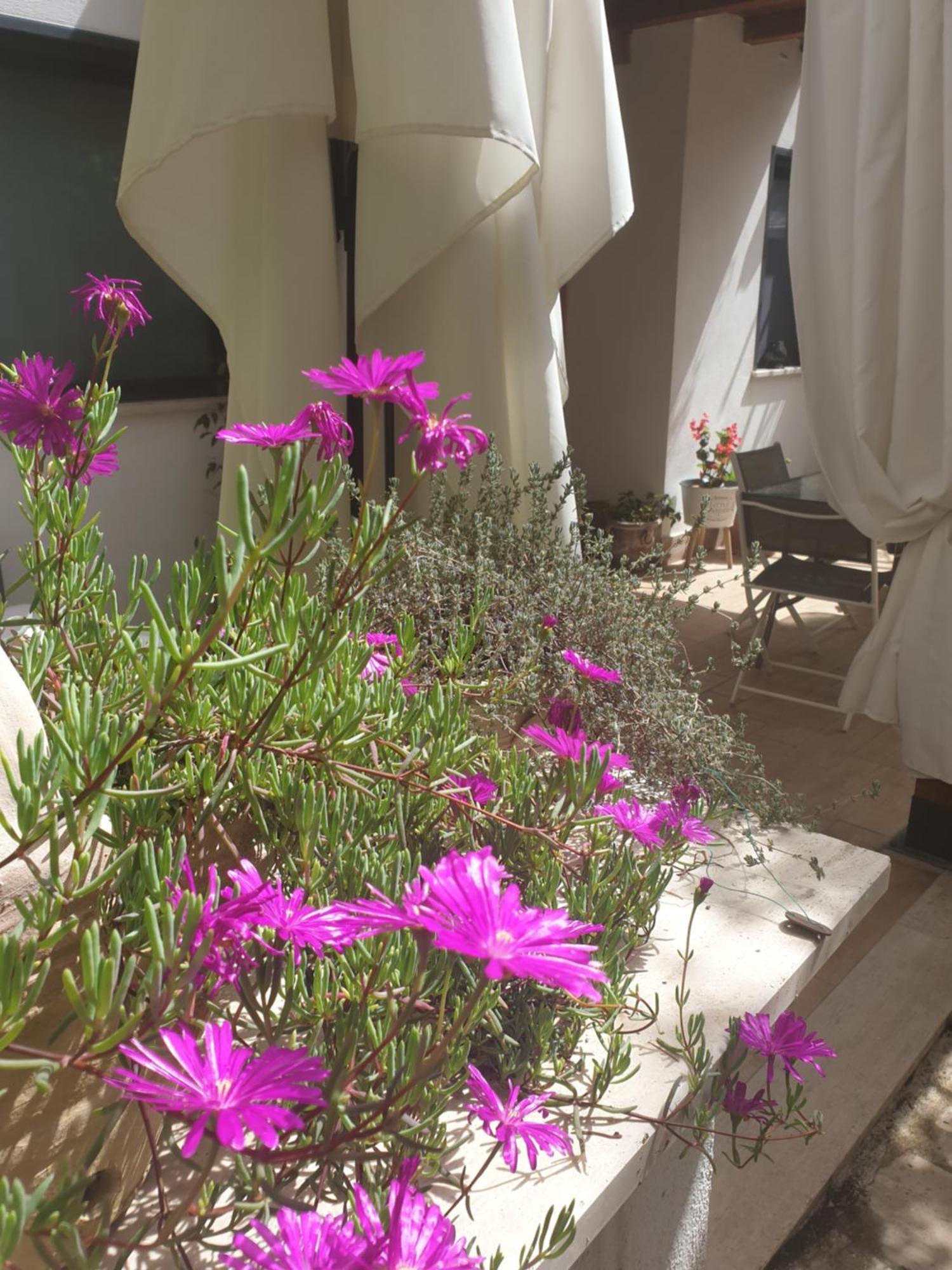 Hotel Il Giardinetto Di Dilyana Monterosi Exteriér fotografie